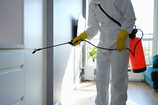 Best Mold Cleaning Services  in Laguna Park, TX
