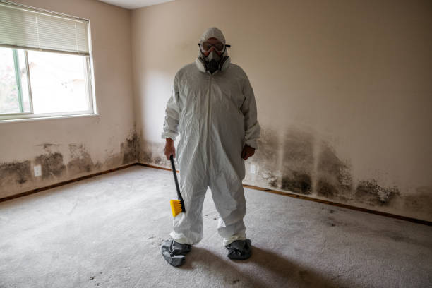 Best Crawl Space Mold Removal  in Laguna Park, TX